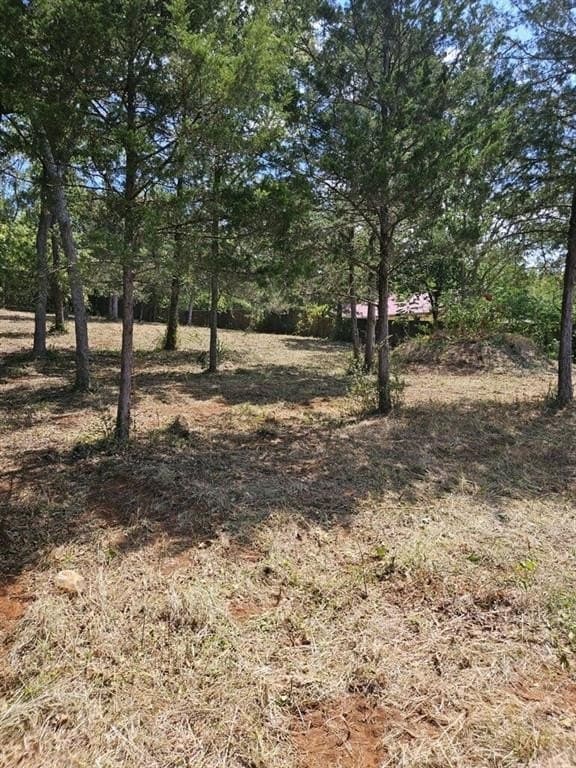 0.41 acres in Smith County gallery image 2