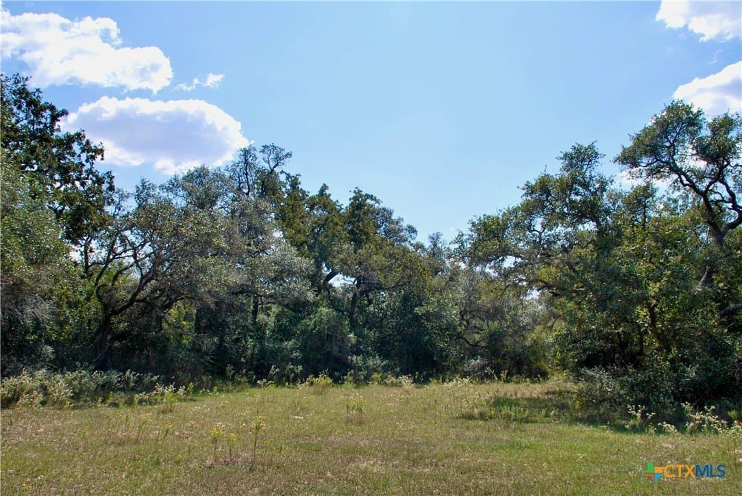 72.4 acres in Lavaca County - photo 47
