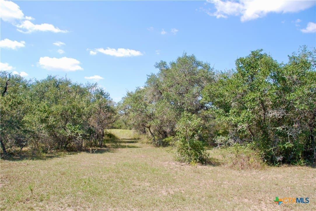 72.4 acres in Lavaca County - photo 48
