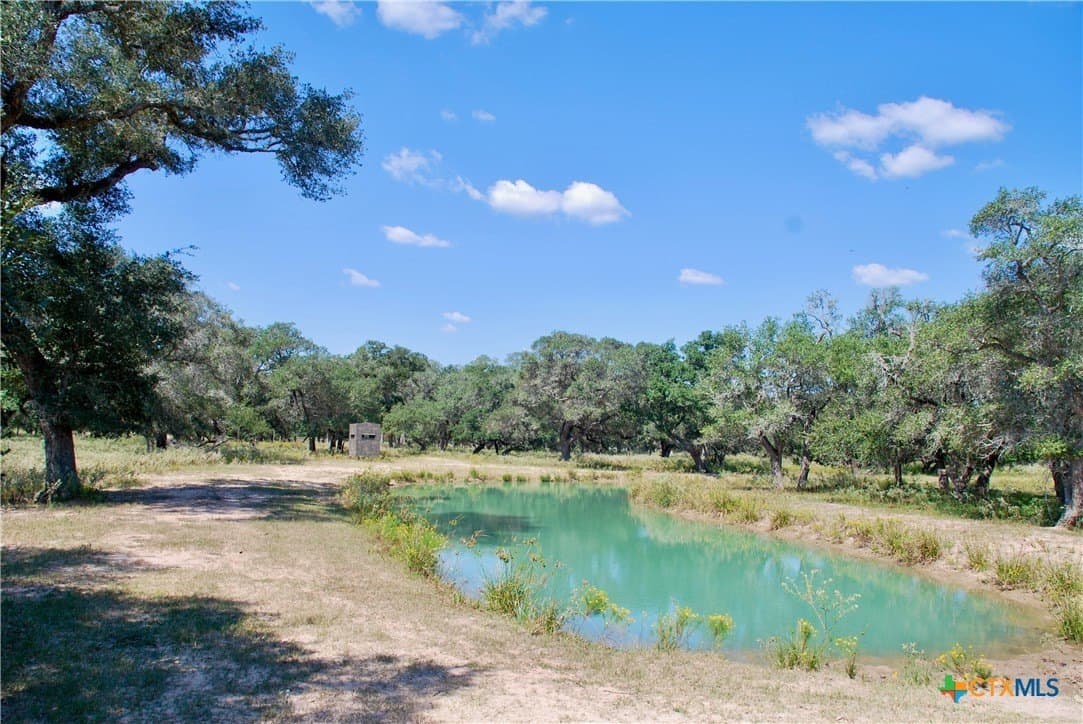 72.4 acres in Lavaca County - photo 33