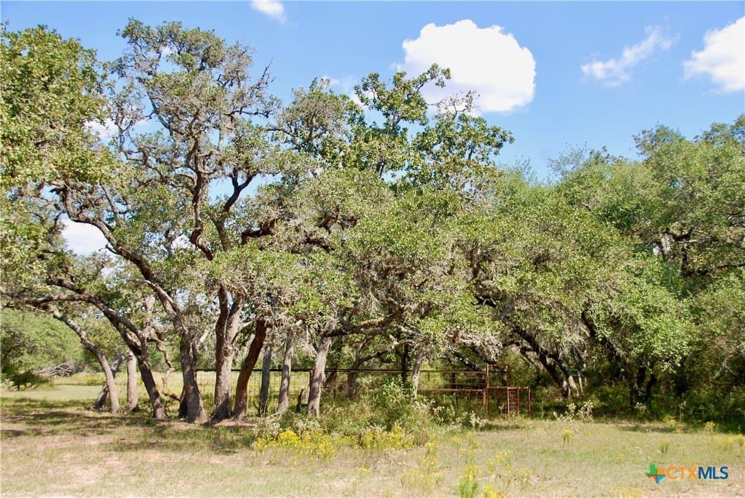 72.4 acres in Lavaca County - photo 38