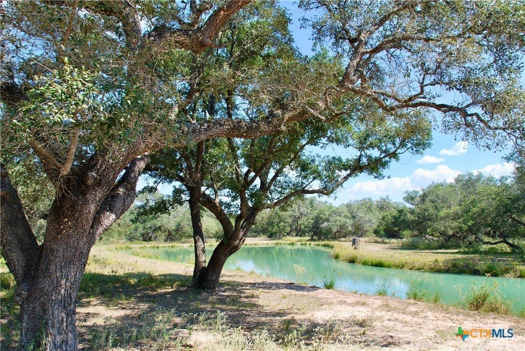 72.4 acres in Lavaca County - photo 34