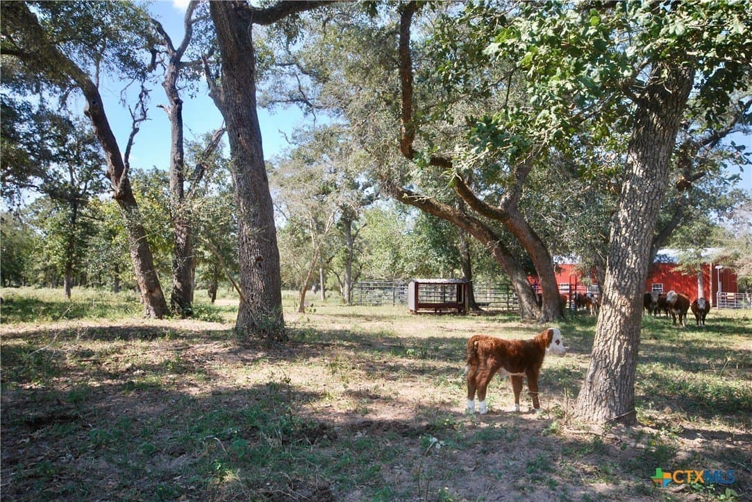 72.4 acres in Lavaca County - photo 44