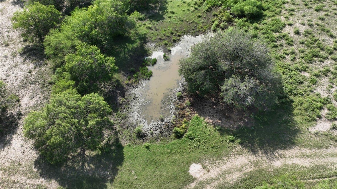 53.45 acres in Live Oak County - photo 28