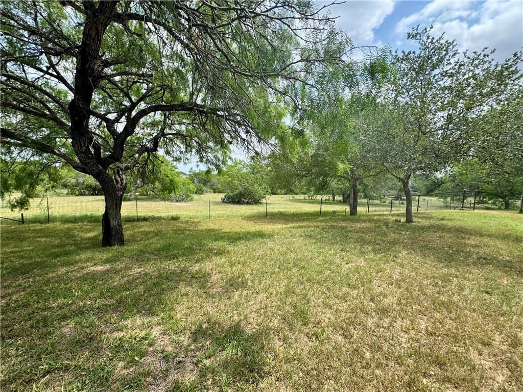 53.45 acres in Live Oak County - photo 29