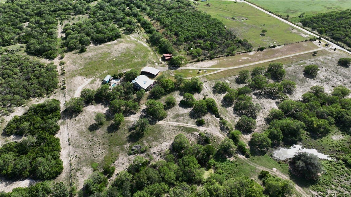 53.45 acres in Live Oak County - photo 26