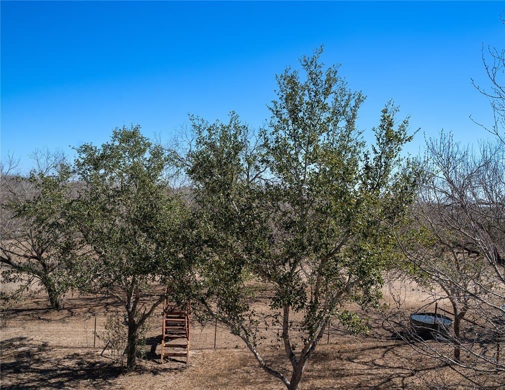 53.45 acres in Live Oak County - photo 32
