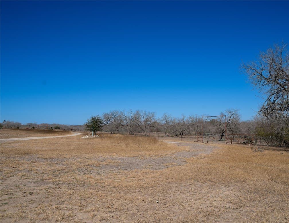 53.45 acres in Live Oak County - photo 36