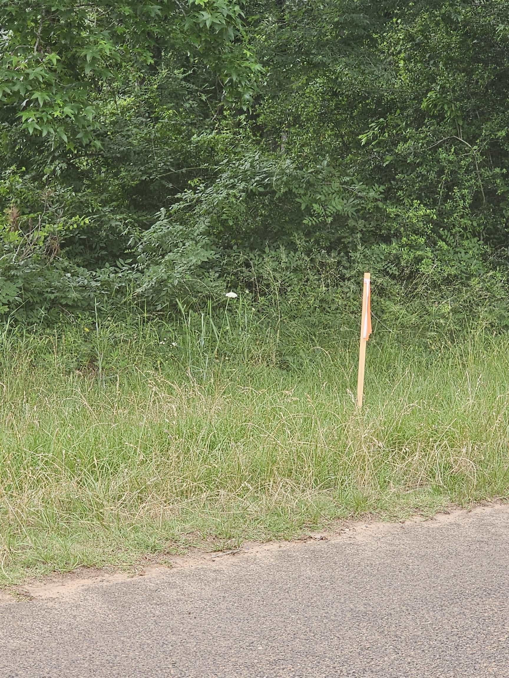 11.27 acres in Texas County featured view