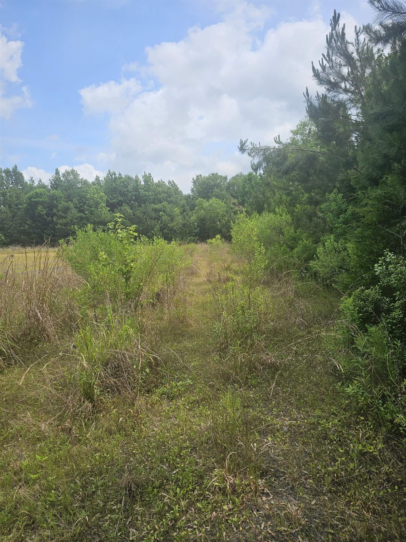 11.27 acres in Texas County gallery image 4