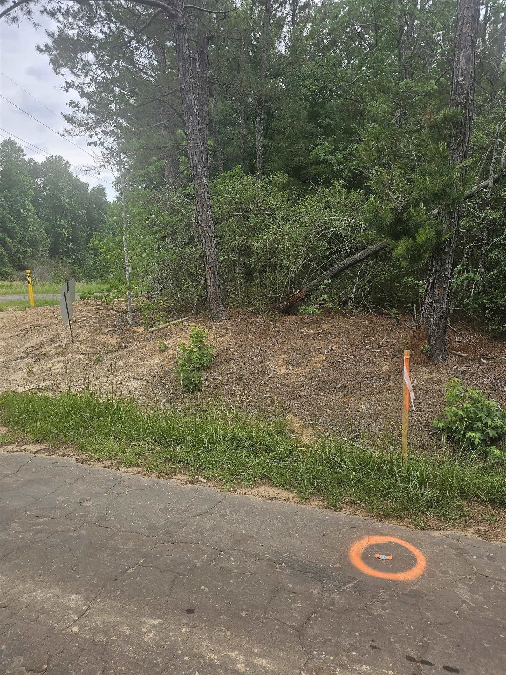 11.27 acres in Texas County gallery image 2