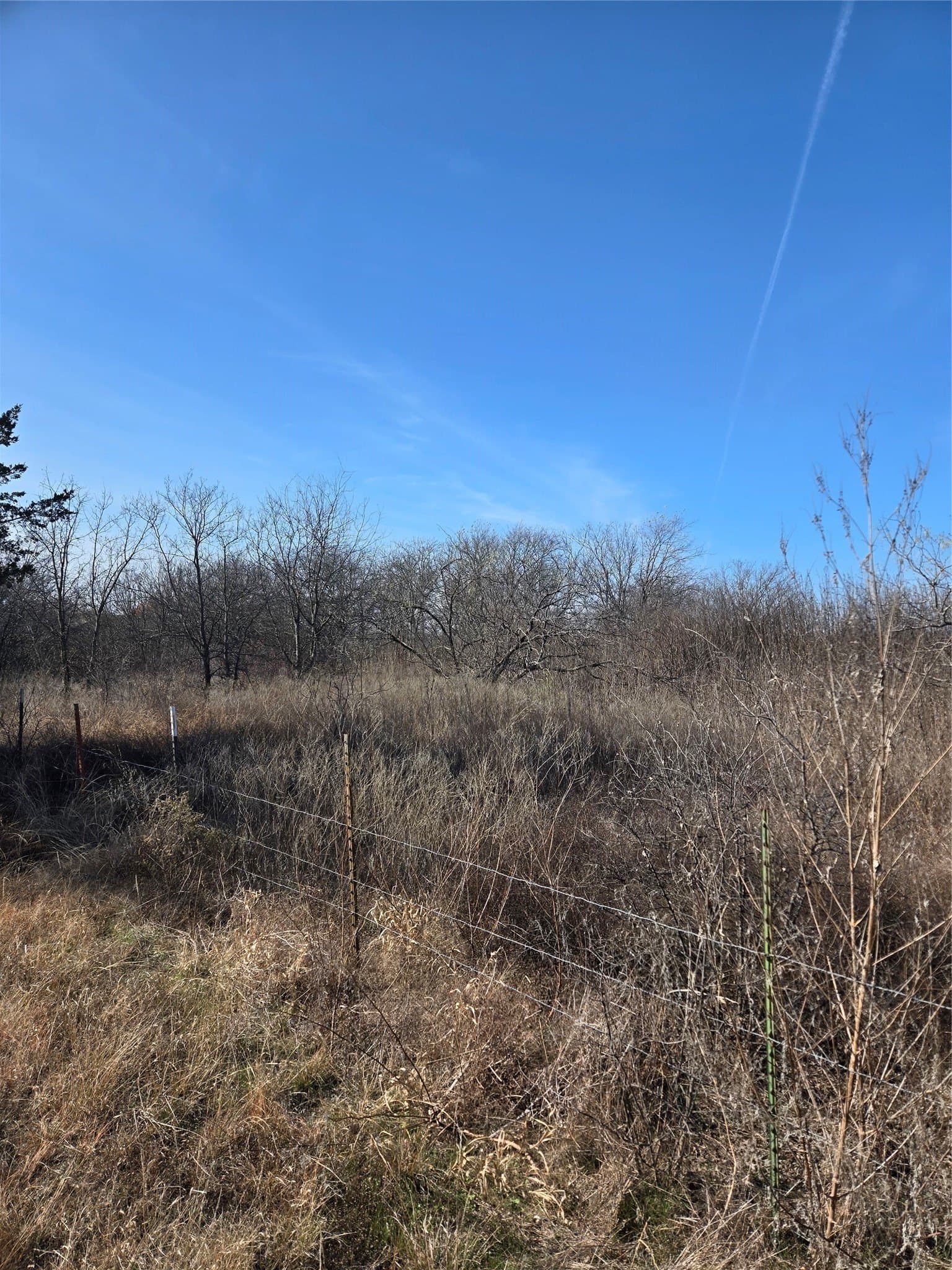0.19 acres in Hill County - photo 3