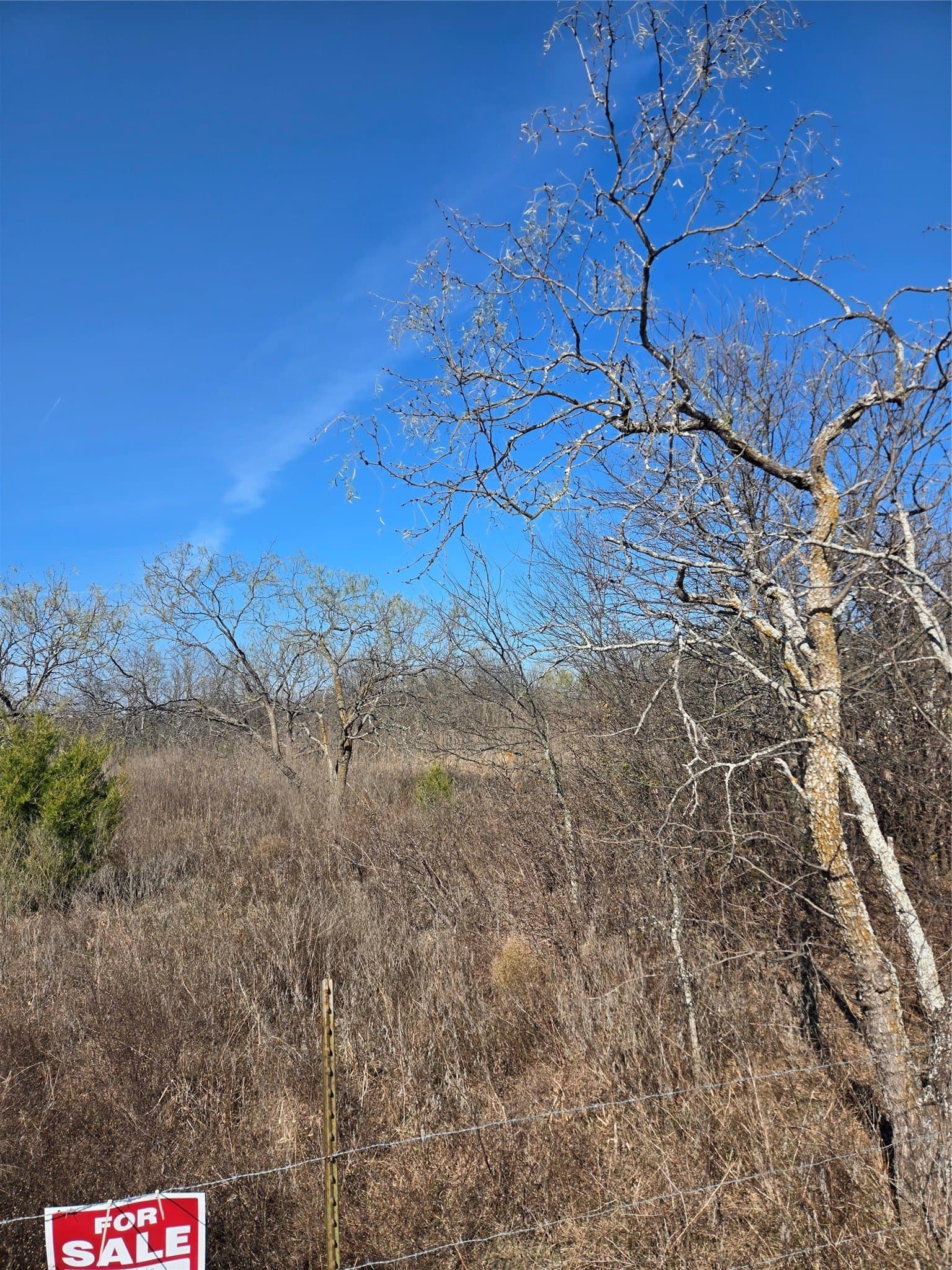 0.19 acres in Hill County - photo 2