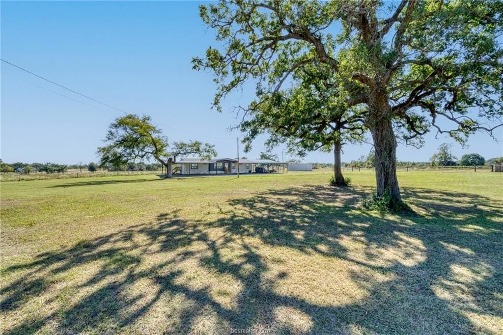 10.01 acres in Brazos County - photo 8