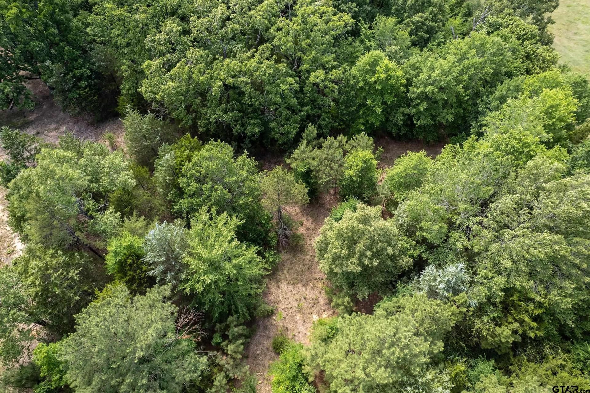 12.05 acres in Smith County - photo 27