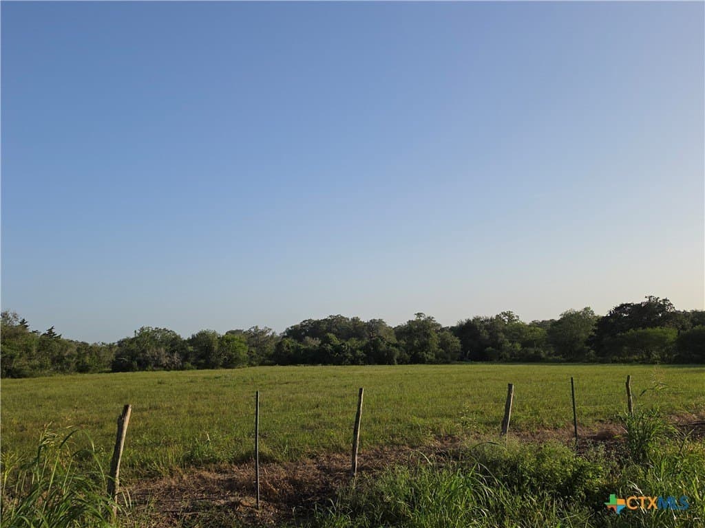 21 acres in Goliad County - photo 8