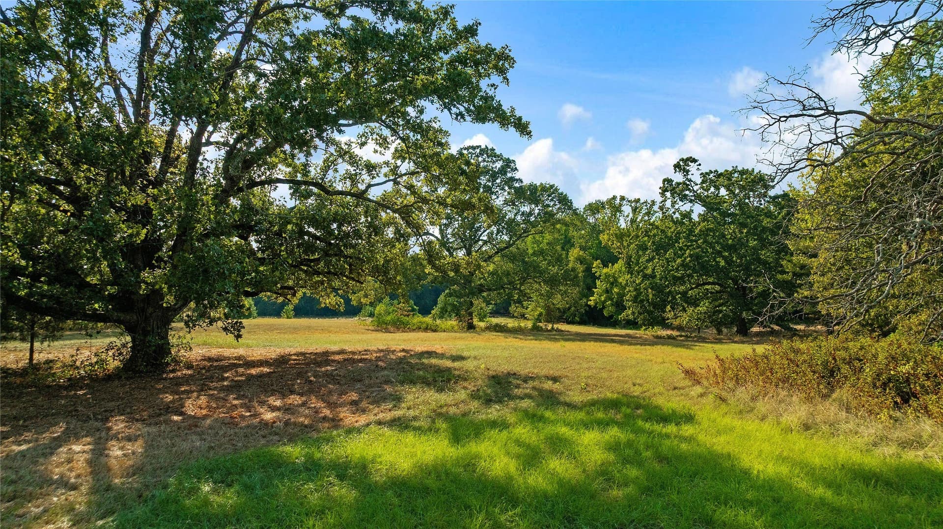 20.28 acres in Lamar County - photo 32