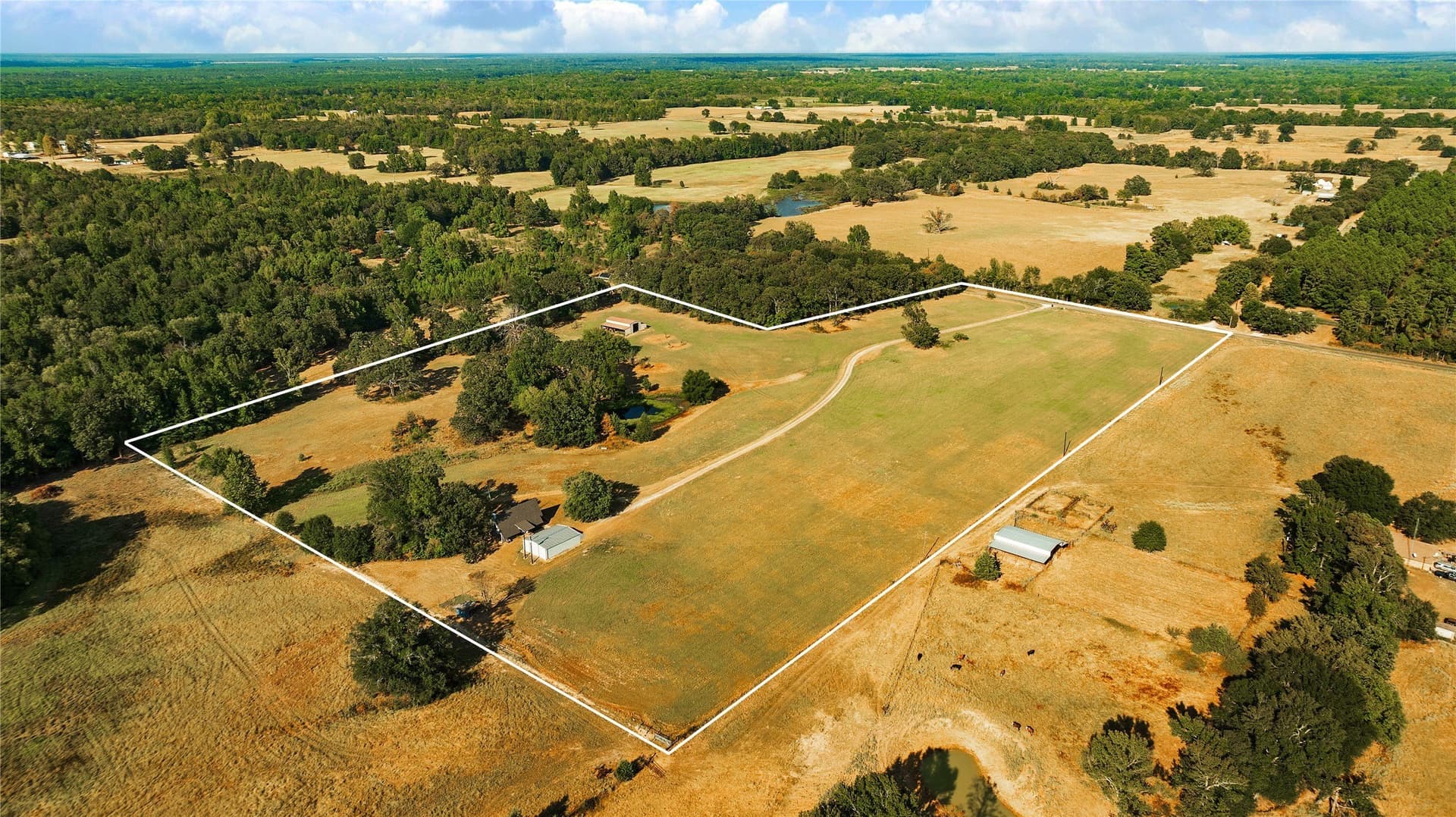 20.28 acres in Lamar County - photo 8