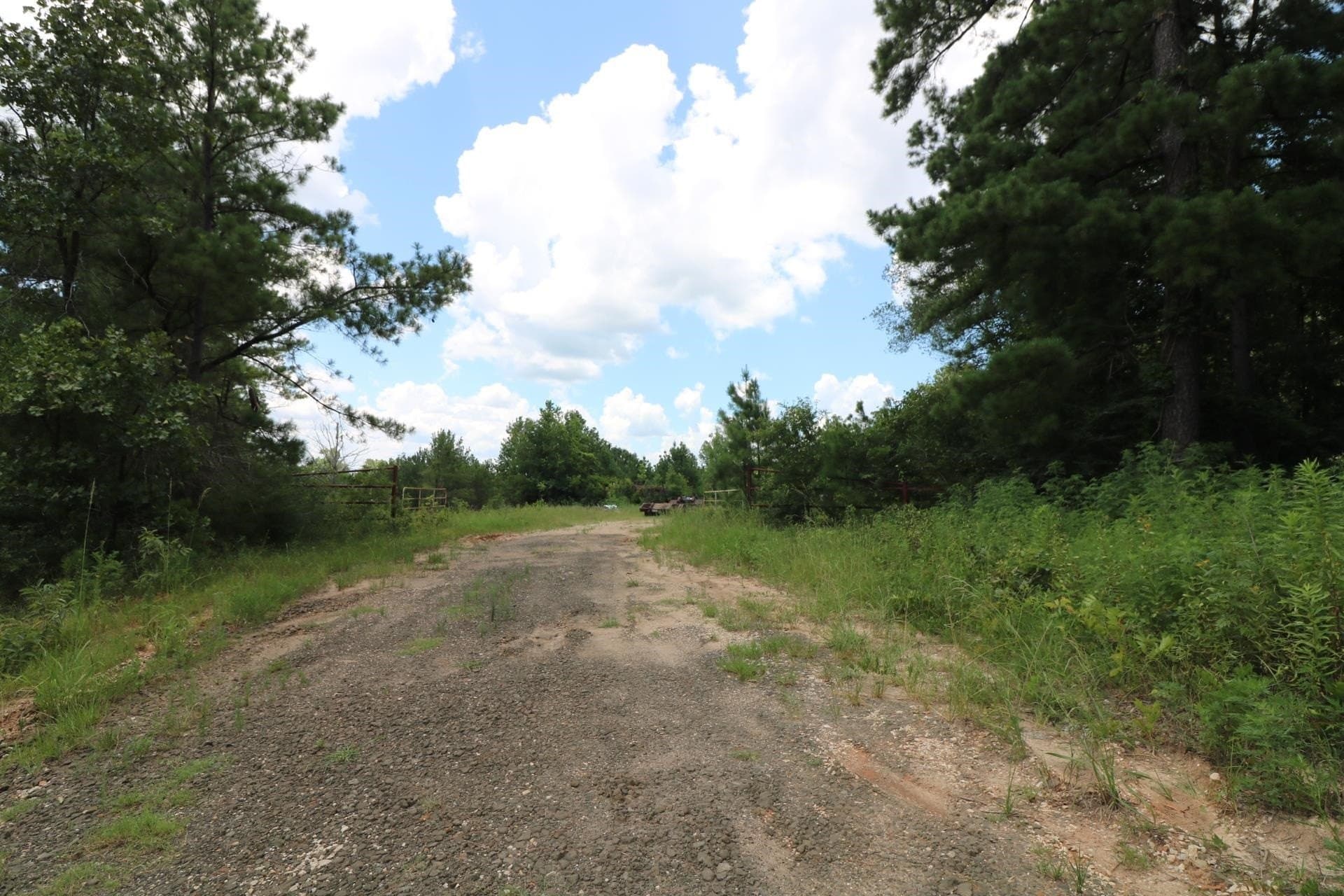 10 acres in Texas County - photo 6