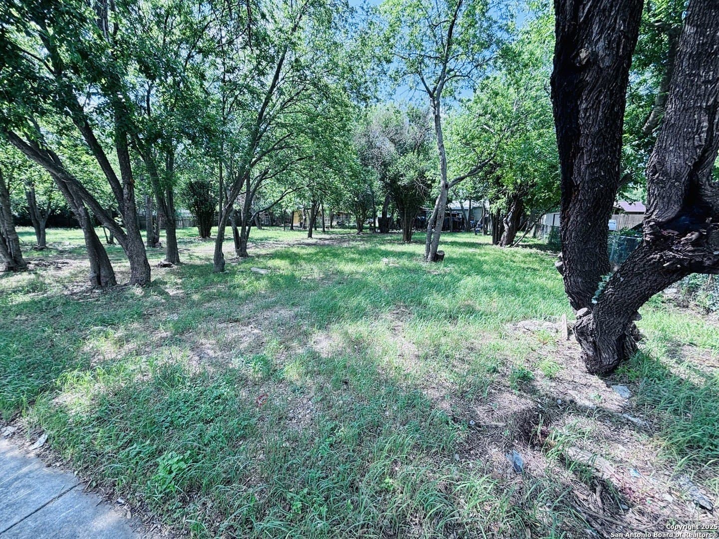 0.34 acres in Bexar County - photo 3