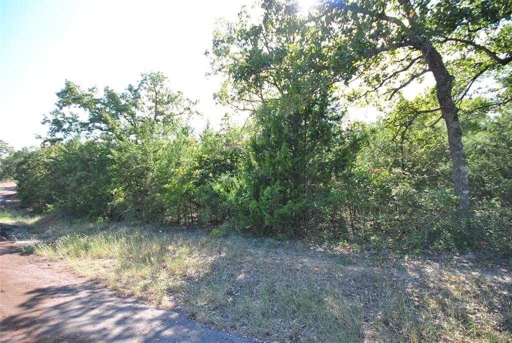 0.38 acres in Limestone County featured view