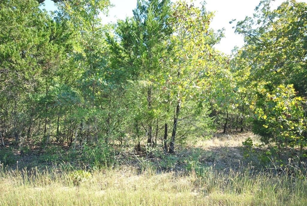 0.38 acres in Limestone County