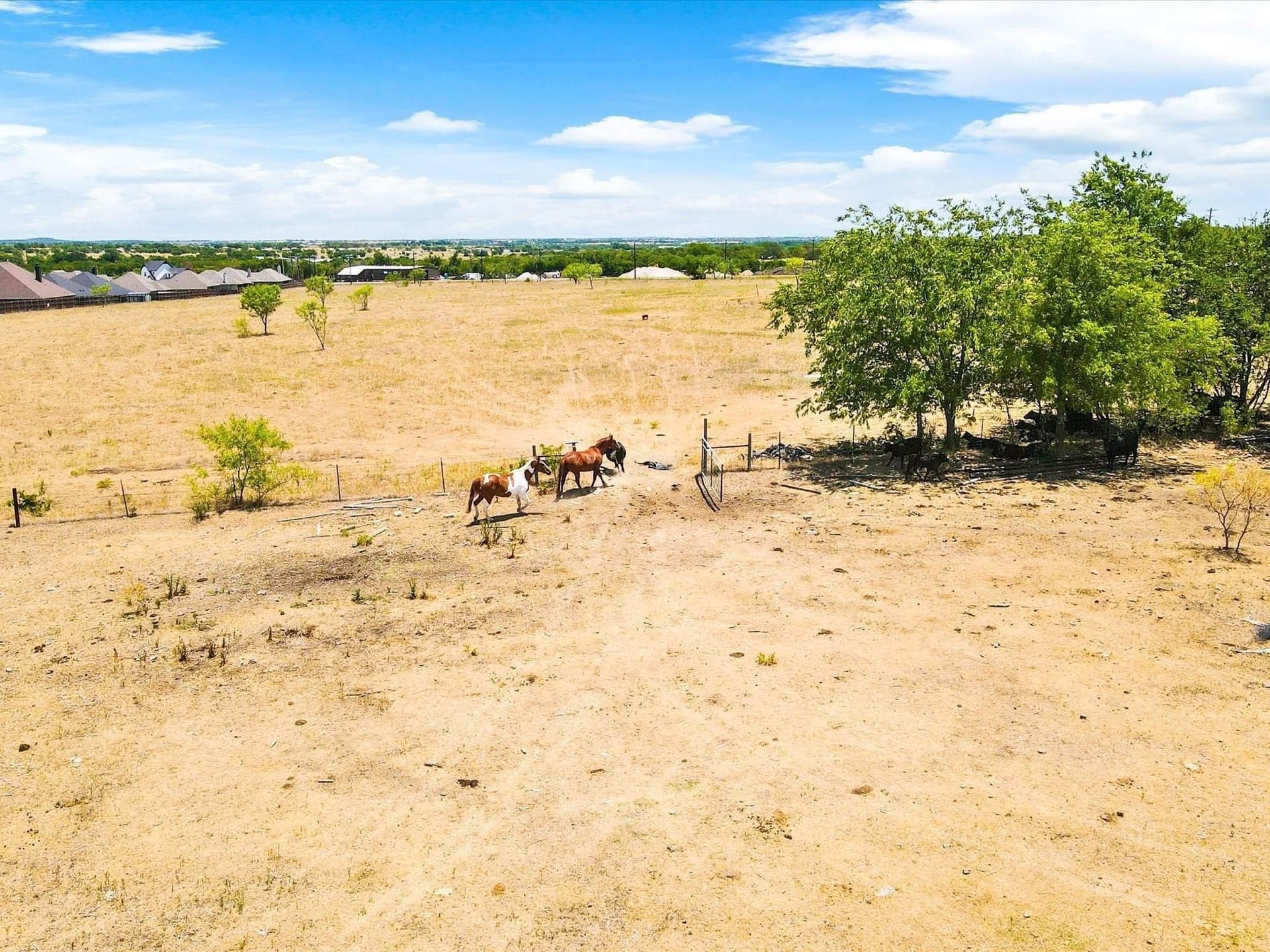 58.87 acres in Johnson County - photo 24