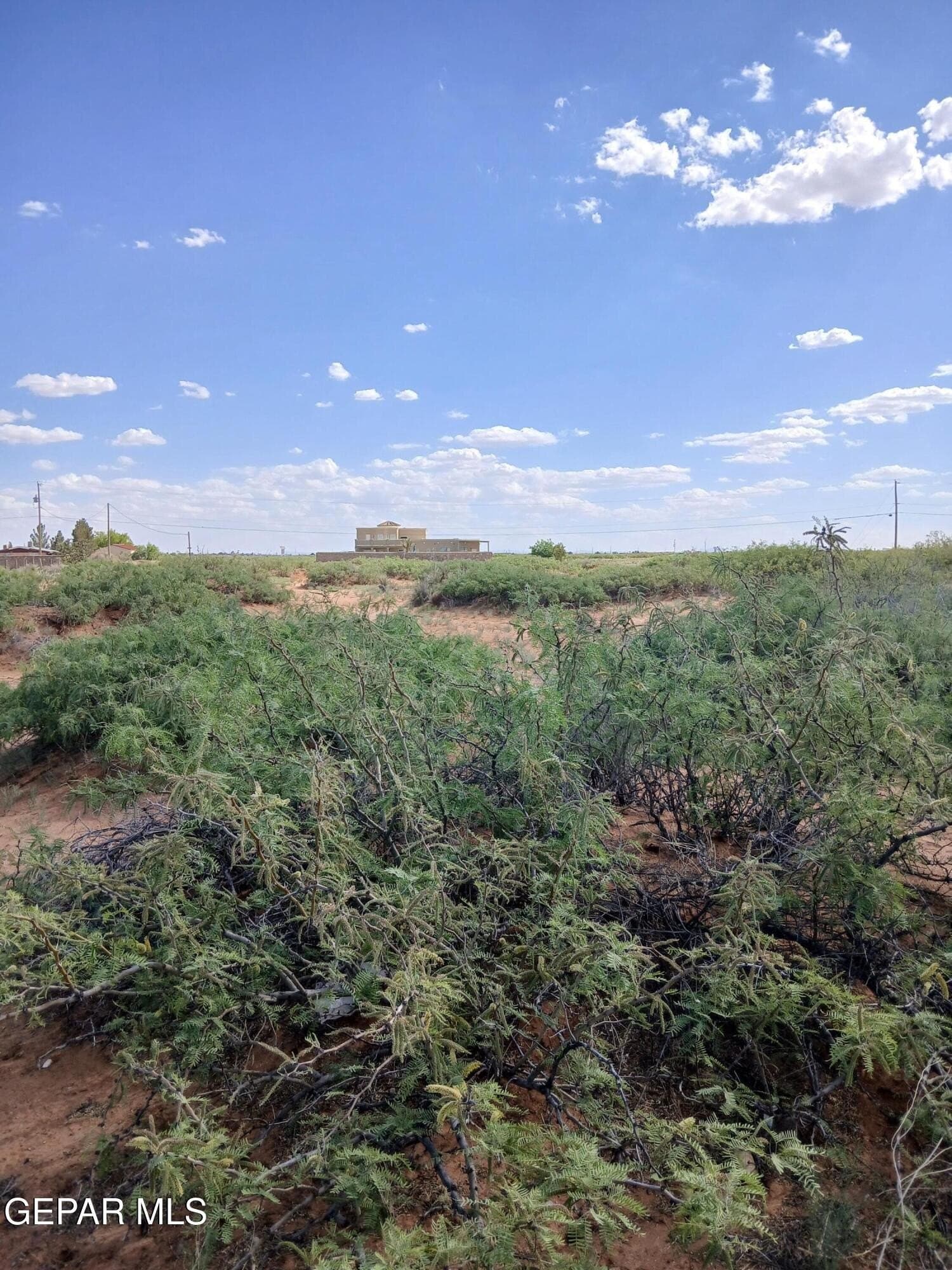 2.06 acres in El Paso County gallery image 3