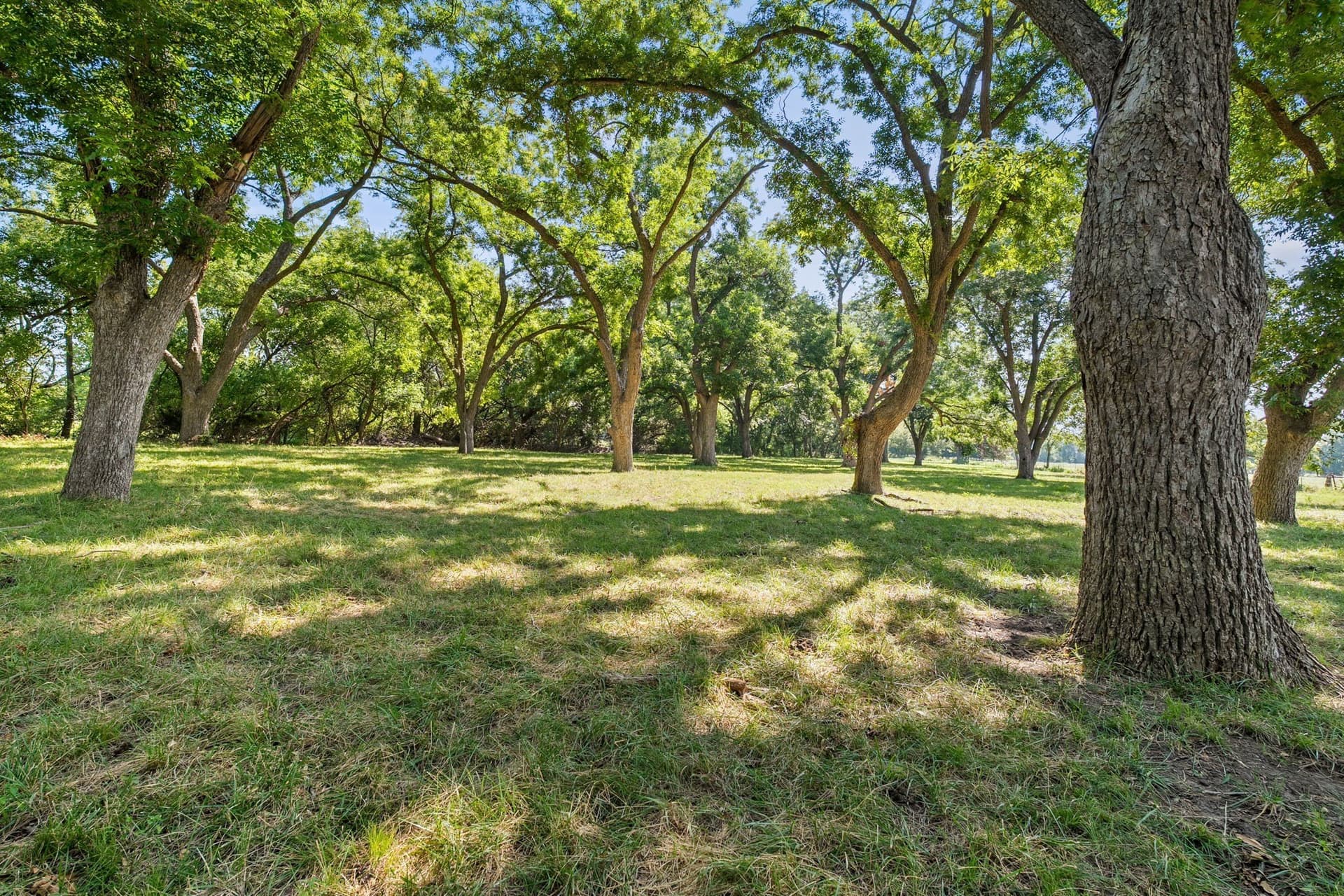 87.2 acres in Collin County - photo 8