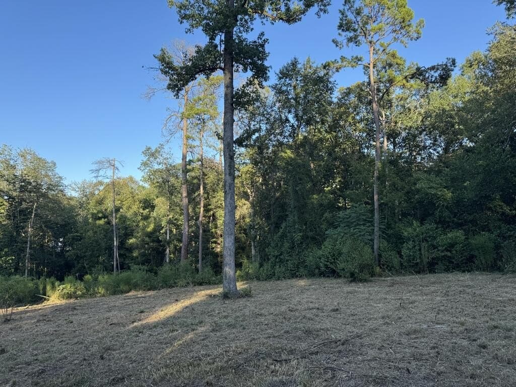0.48 acres in Texas County - photo 5