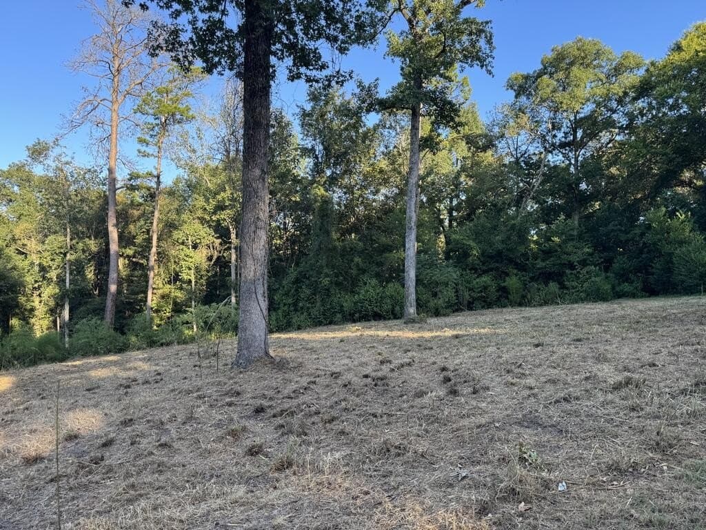 0.48 acres in Texas County - photo 2