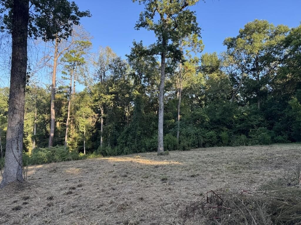 0.48 acres in Texas County - photo 3