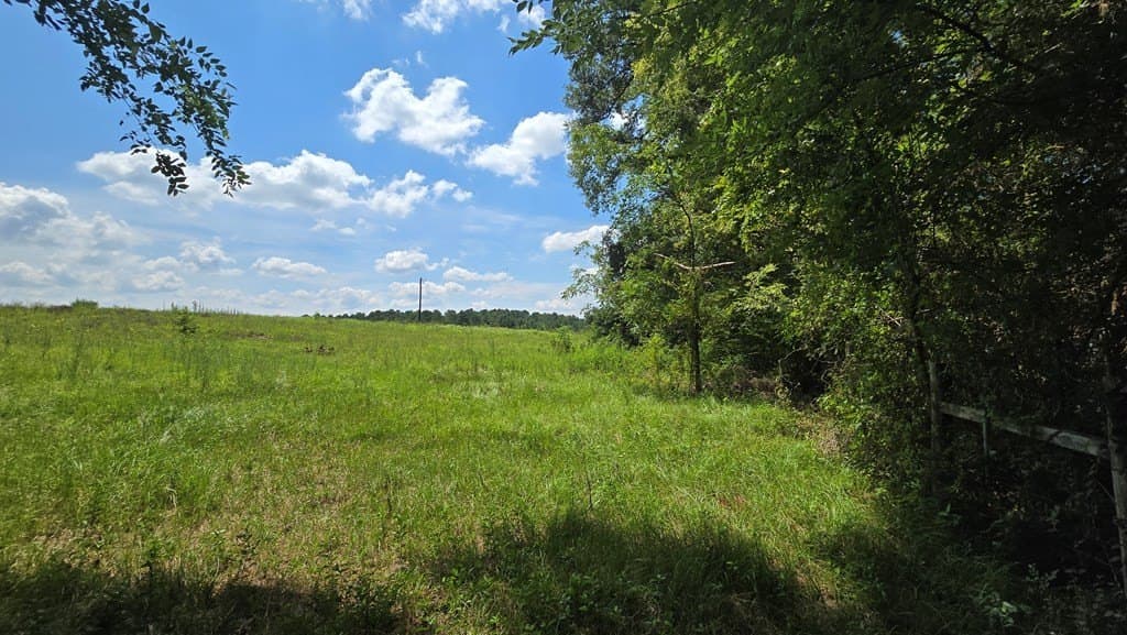 9 acres in Texas County - photo 8