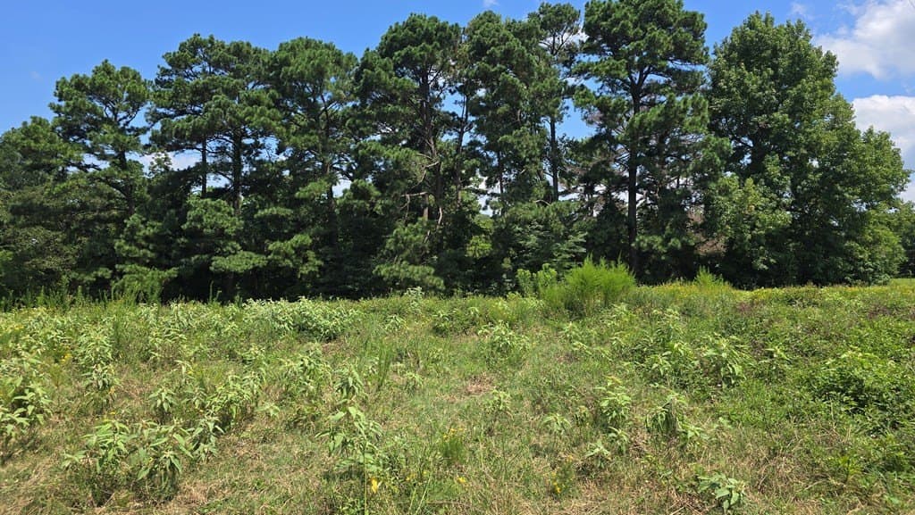 9 acres in Texas County featured view