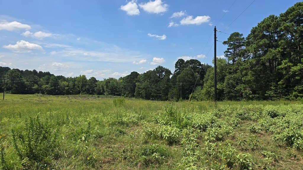 9 acres in Texas County - photo 6
