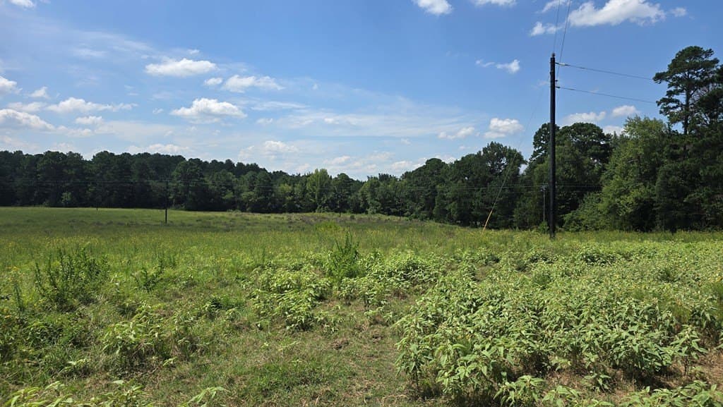 9 acres in Texas County gallery image 4