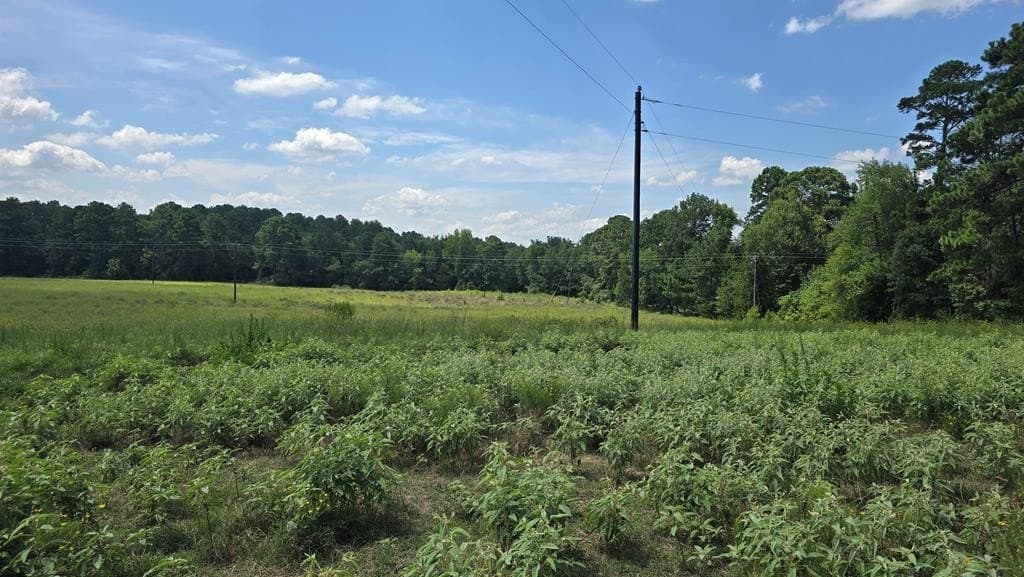 9 acres in Texas County gallery image 2
