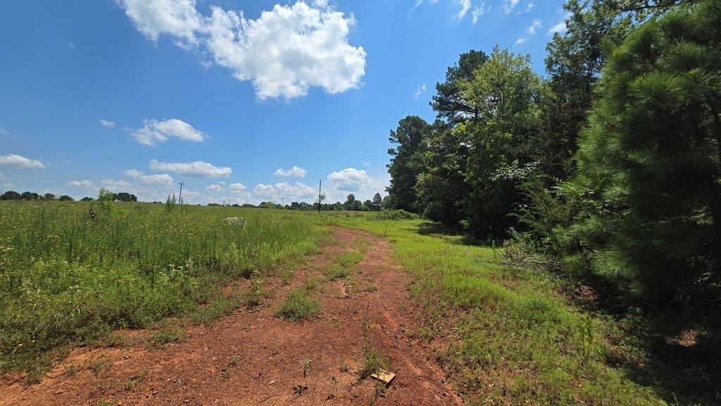 9 acres in Texas County - photo 9