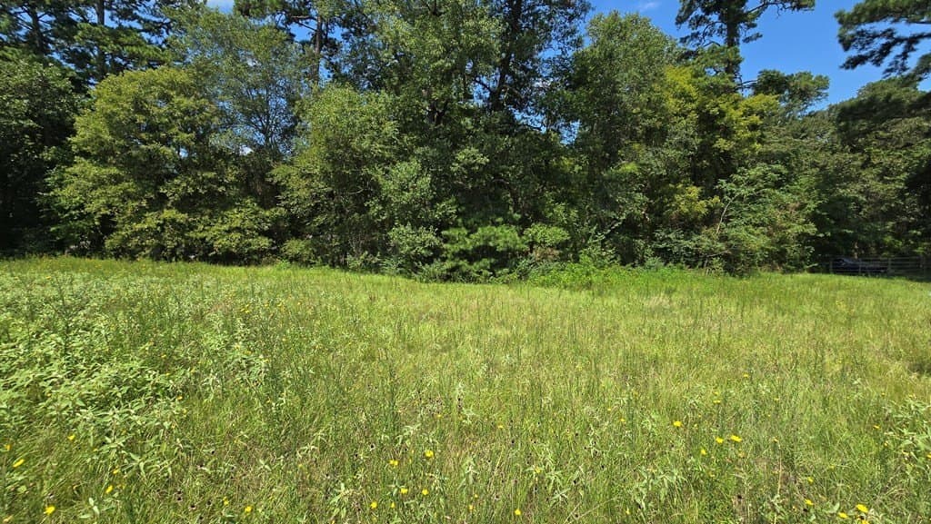 9 acres in Texas County - photo 7
