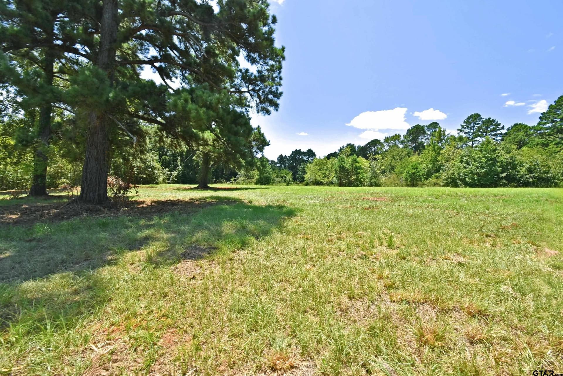 10 acres in Wood County - photo 39