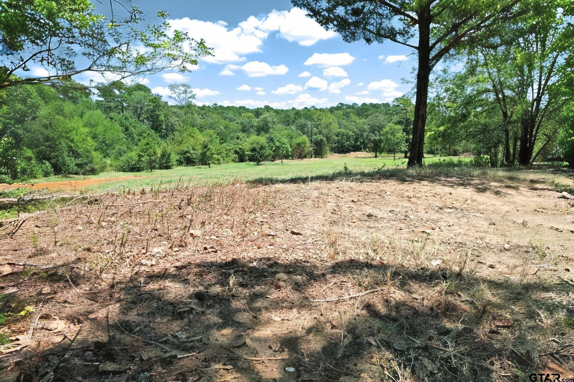 10 acres in Wood County - photo 41
