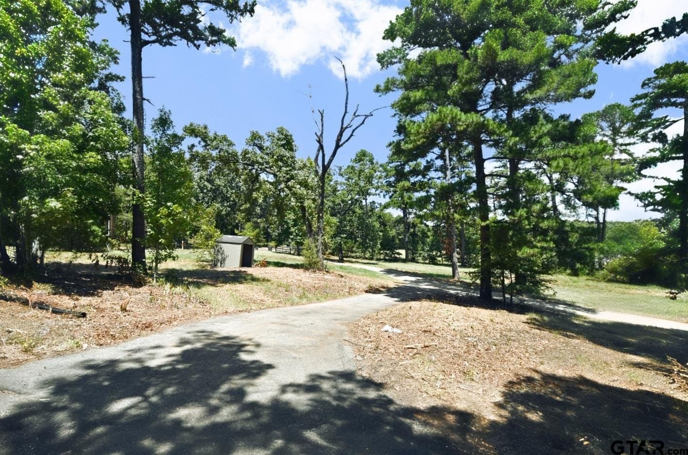 10 acres in Wood County - photo 4