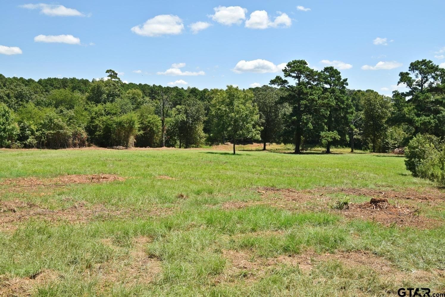 10 acres in Wood County - photo 38