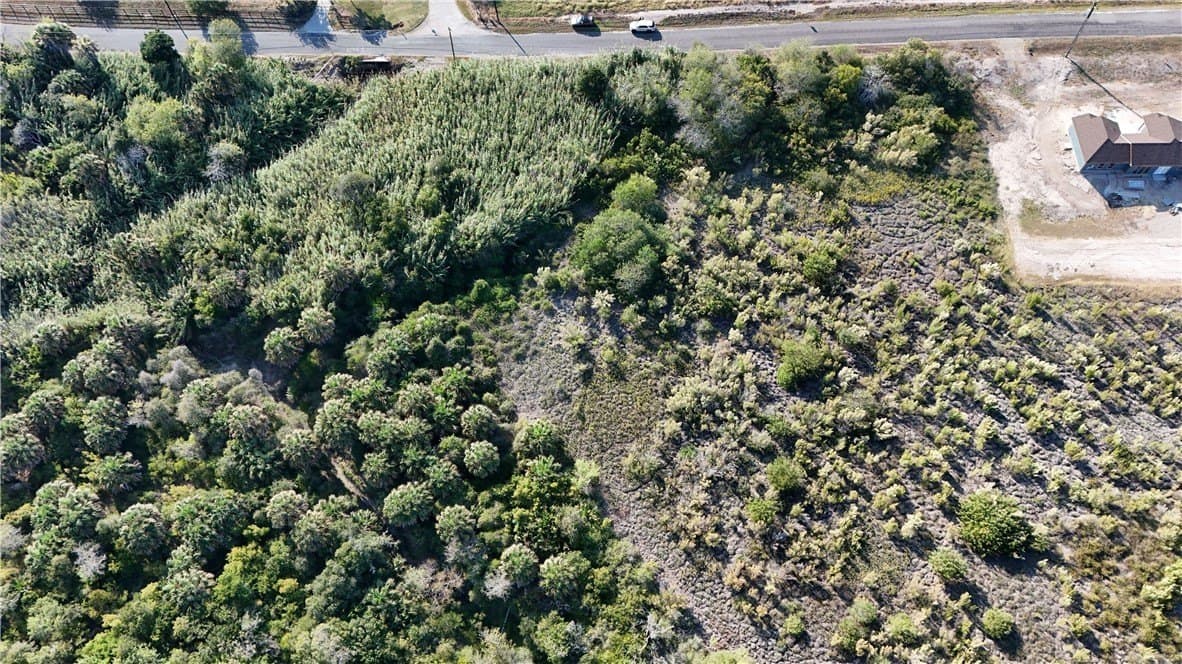 0.79 acres in San Patricio County gallery image 2