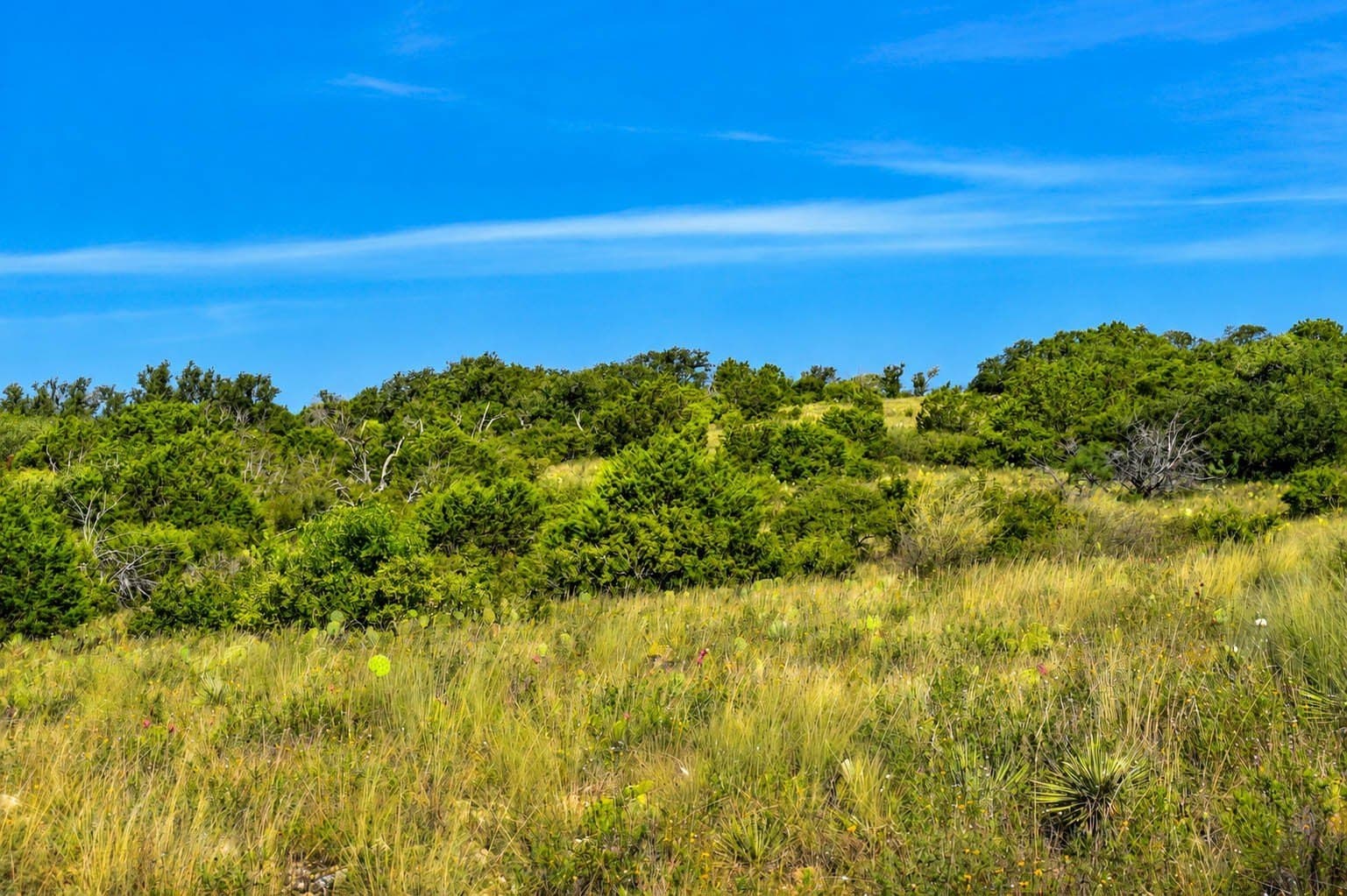 292 acres in McCulloch County - photo 5
