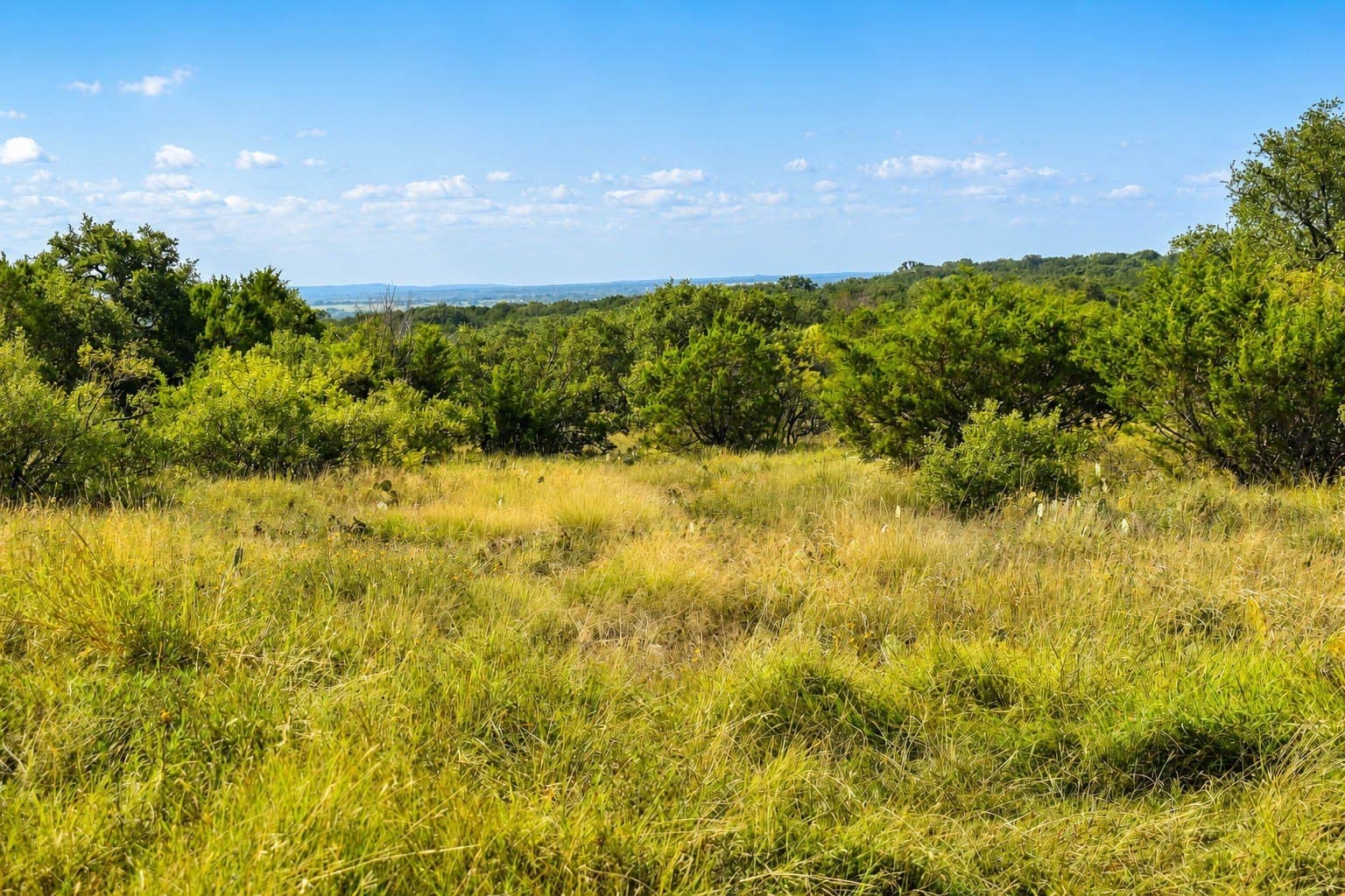 292 acres in McCulloch County - photo 7