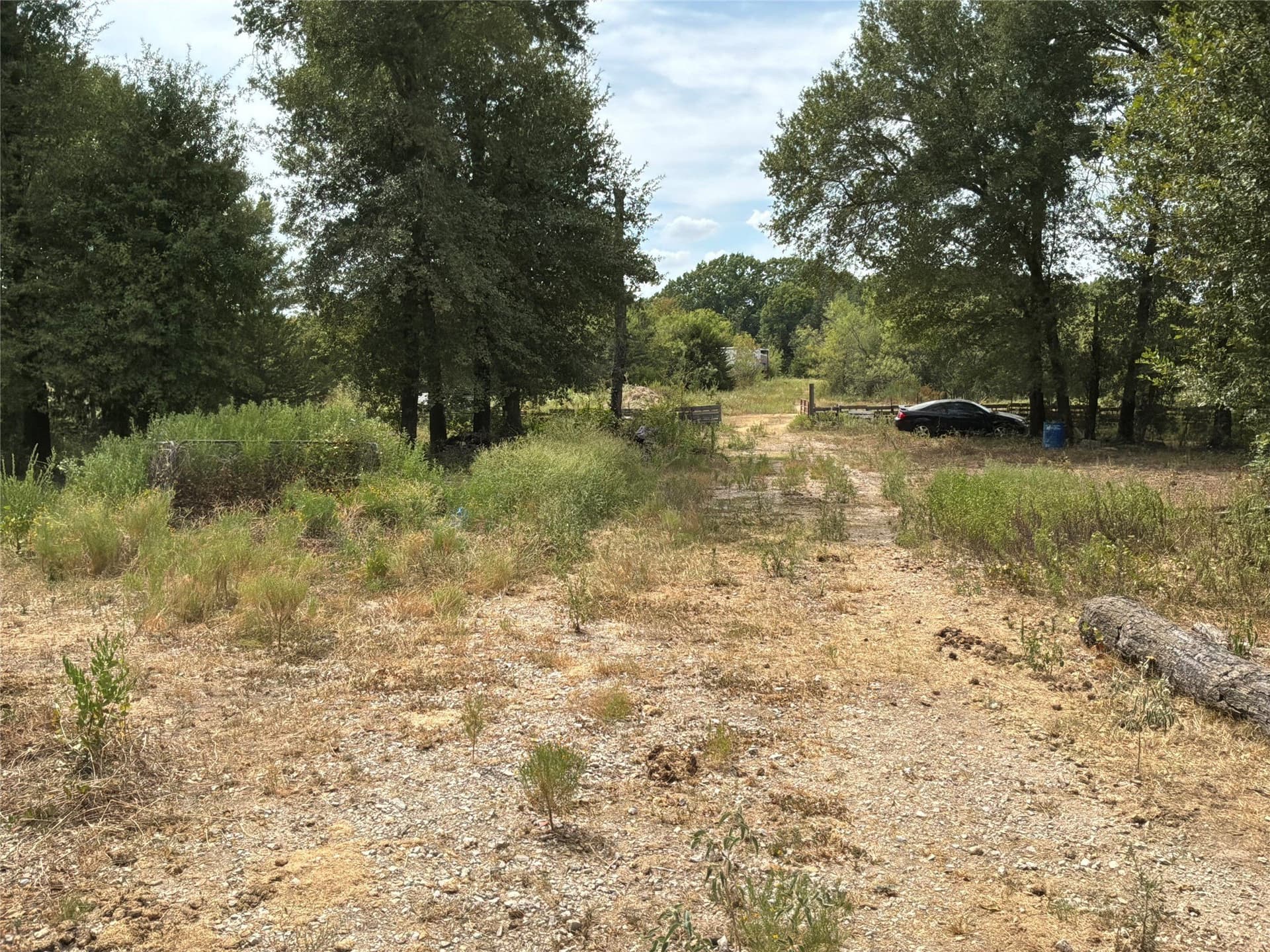 12.35 acres in Navarro County - photo 4