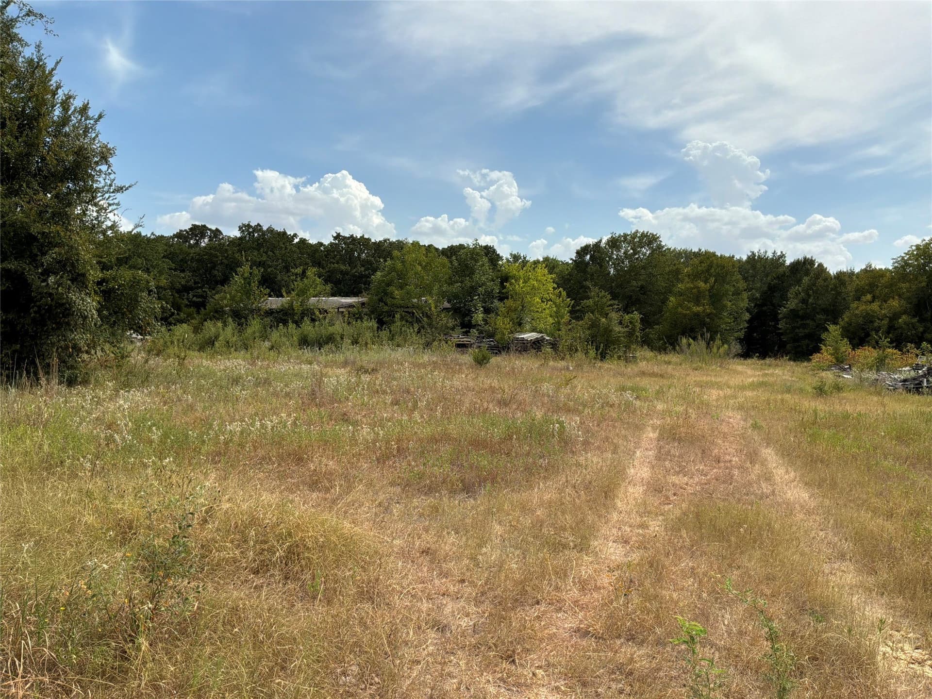 12.35 acres in Navarro County - photo 5