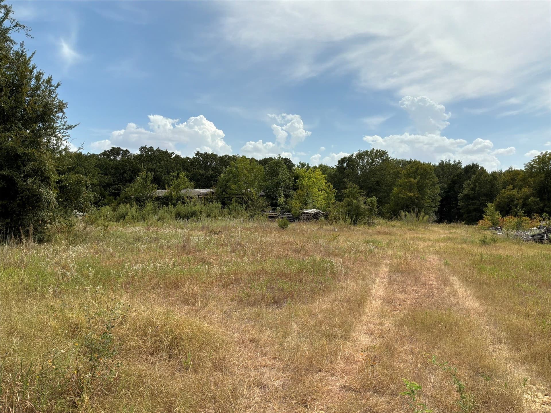 12.35 acres in Navarro County - photo 6