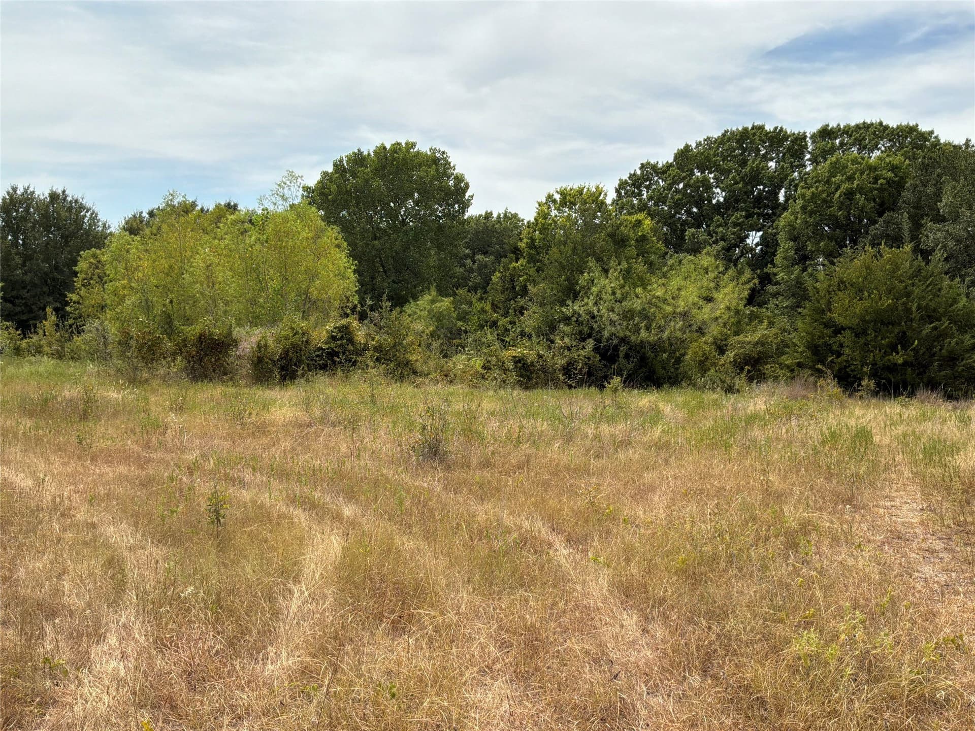 12.35 acres in Navarro County - photo 7